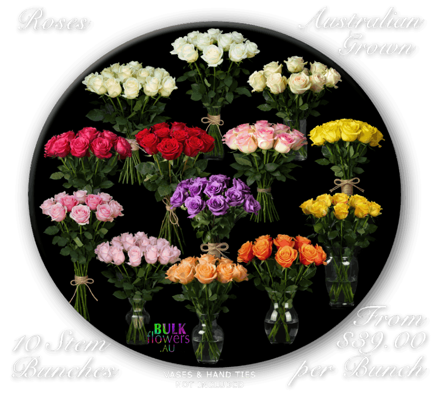ROSES AU